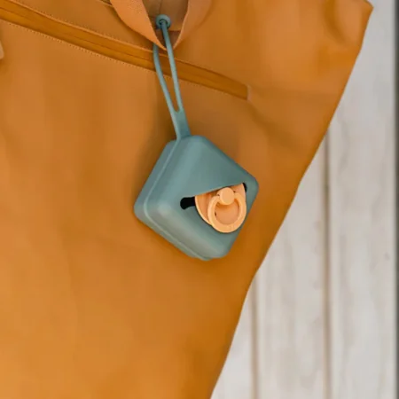 BIBS PACIFIER CASE ETUI A TETINE PUMPKIN