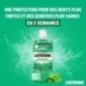 LISTERINE PROTECTION DENTS ET GENCIVES BAIN DE BOUCHE 250 ML