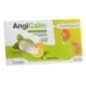 ANGICALM CITRON 16 COMPRIMER A SUCER