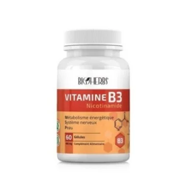VITAMINE B3 NICOTINAMIDE 60 GÉLULES