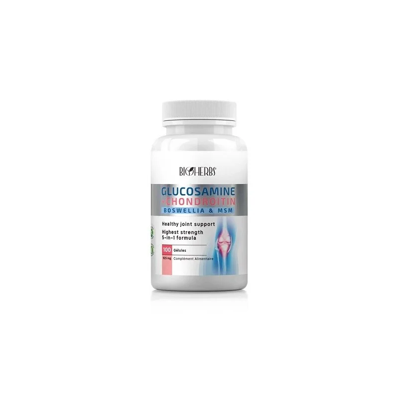 GLUCOSAMINE CHONDROITIN 60 GÉLULES