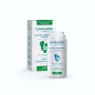 GAMARDE POUDRE ABSORBANTE FRAICHEUR PIEDS BIO TRANSPIRATION EXCESSIVE 35 G