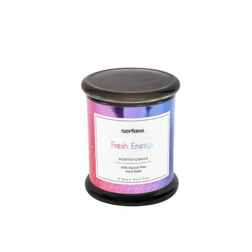 SEPTANIL BOUGIE PARFUMEE FRESH ENERGIE 280GR