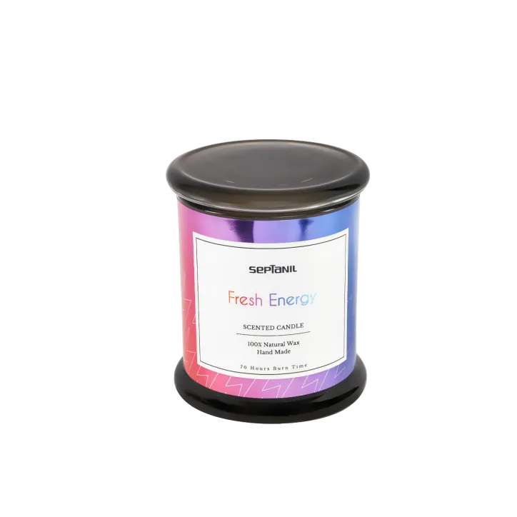 SEPTANIL BOUGIE PARFUMEE FRESH ENERGIE 280GR