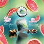LES SECRETS DE LOLY REPAIR TIME MASQUE HYDRATANT 230ML LES SECRETS DE LOLY REPAIR TIME MASQUE HYDRATANT 230ML