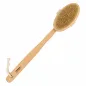 TITANIA BROSSE DE BAIN