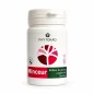 PHYTOKAD MINCEUR BRULE GRAISSE 60 GELULES