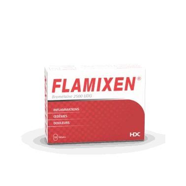 FLAMIXEN 10 GÉLULES